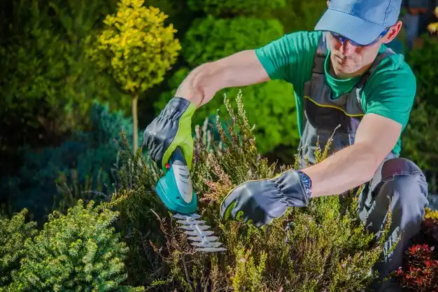 landscaping services Town and Country